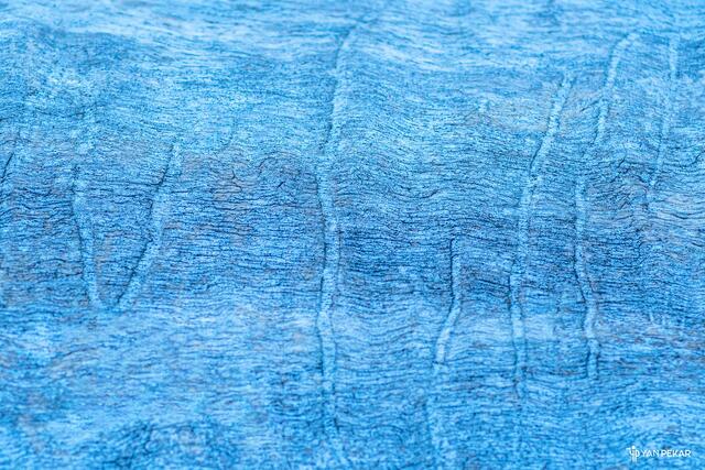 Marks carved in wood that remind a long-forgotten language
