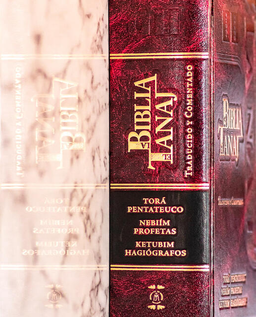 Tanakh reflection