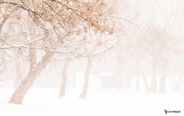 Surrounded by silence