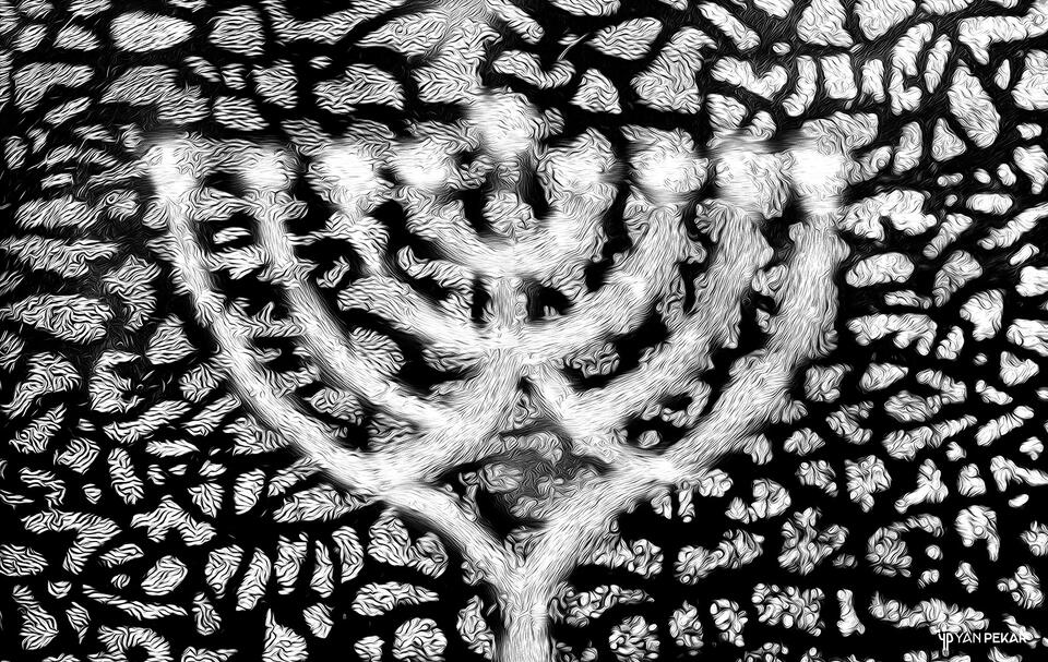 Hanukkah Menorah print