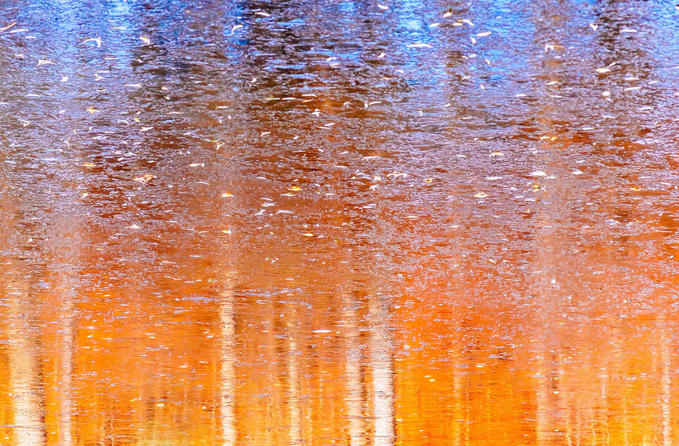 Reflection of autumn print