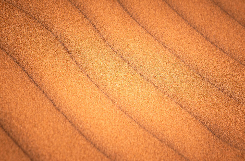 The sand dune harmony print