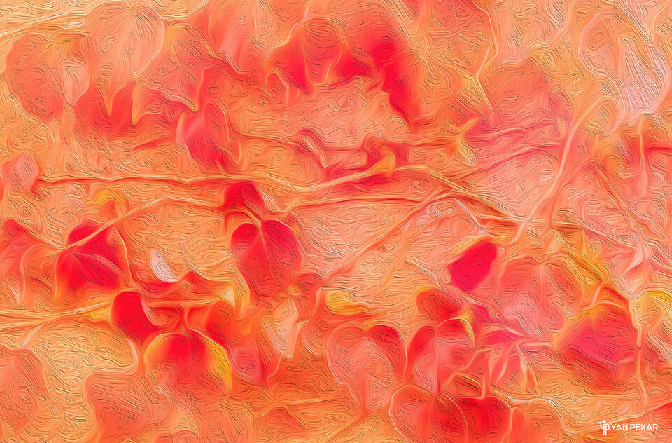 Last leaves of autumn print