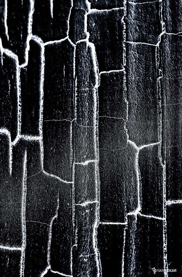 Torn Apart print
