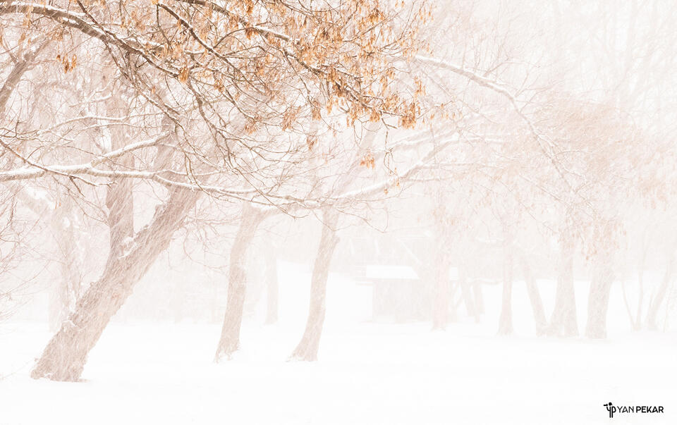 Surrounded by silence print