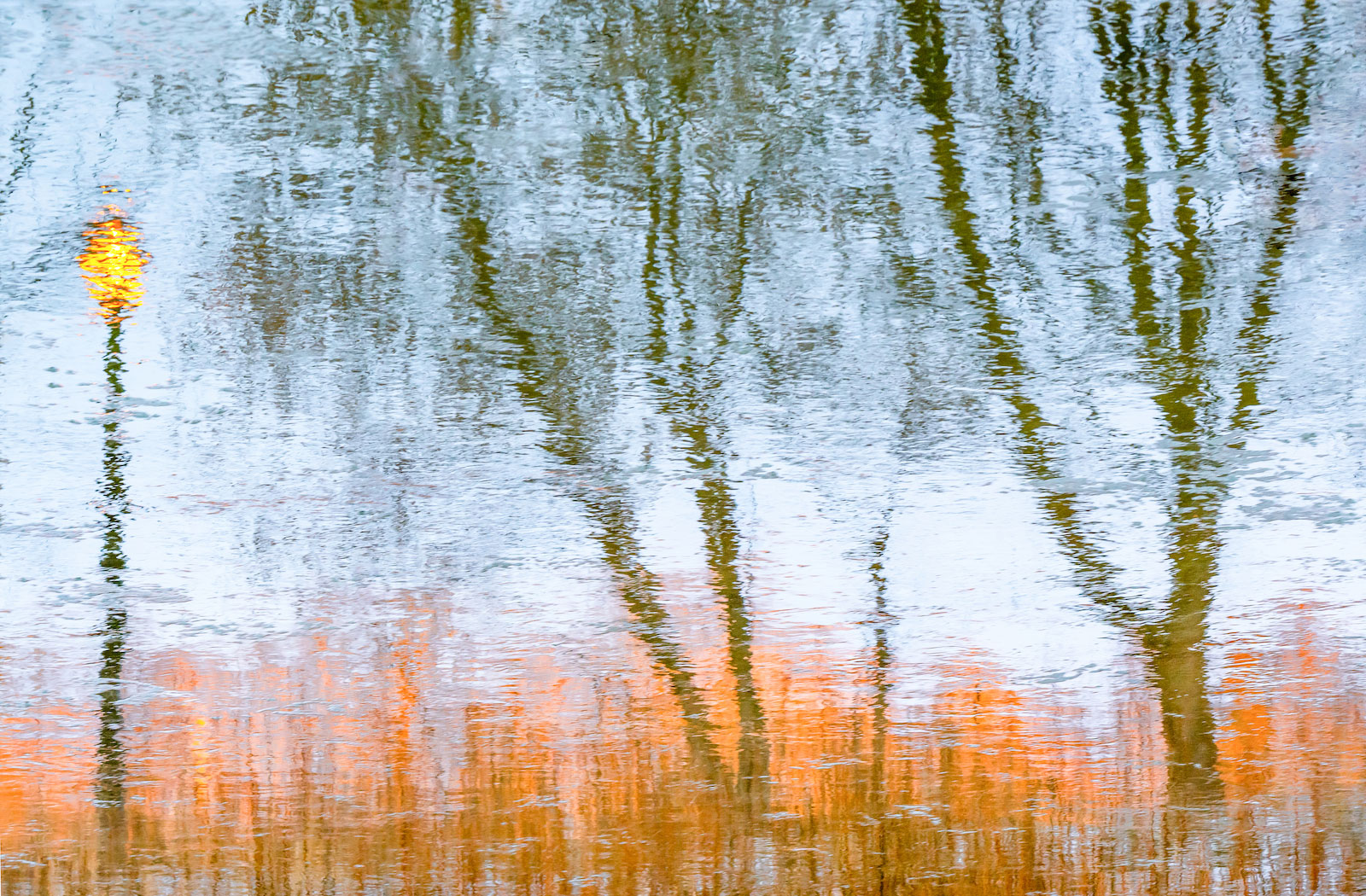 Autumn in Woodbridge Limited Edition of 18. Available: 17.