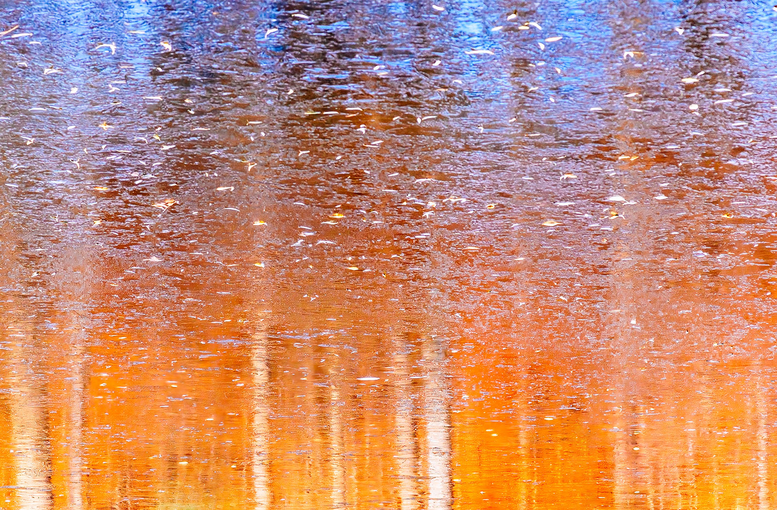 Reflection of autumn Reflection of autumn